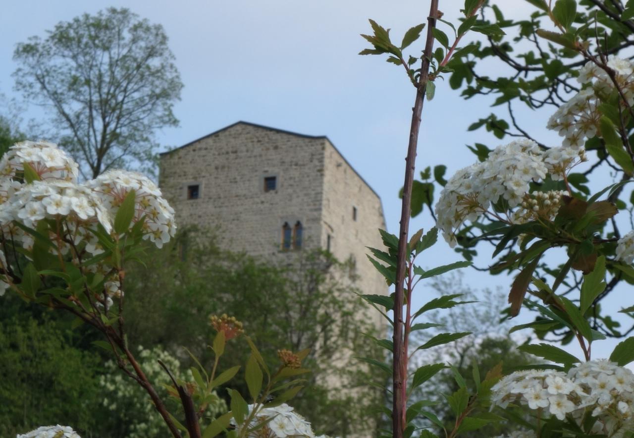 Agriturismo Sogni D' Orto Bed & Breakfast Faedis ภายนอก รูปภาพ