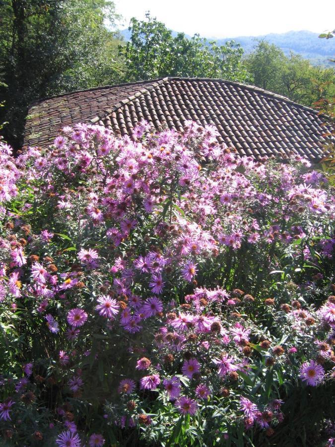 Agriturismo Sogni D' Orto Bed & Breakfast Faedis ภายนอก รูปภาพ